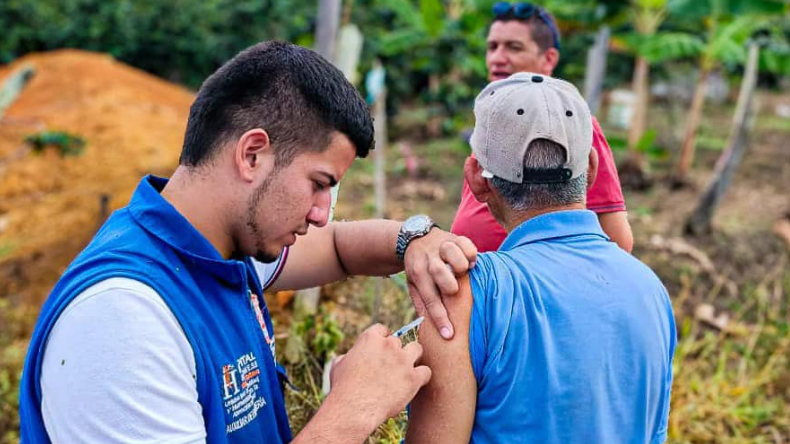 Hay 37 casos confirmados en el Tolima de fiebre amarilla Hay 37 casos confirmados en el Tolima de fiebre amarilla