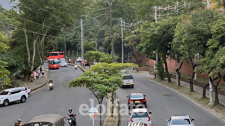 No habrá puente en la 60: Cortolima negó permiso para talar árboles