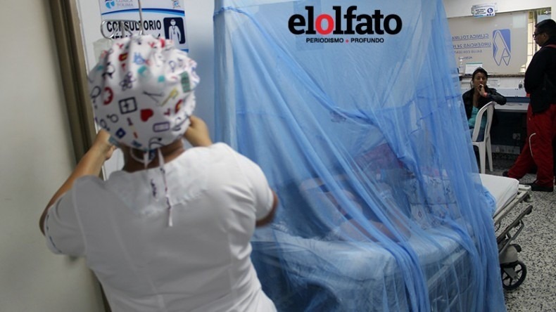 El dengue, una amenaza a la salud del planeta El dengue, una amenaza a la salud del planeta