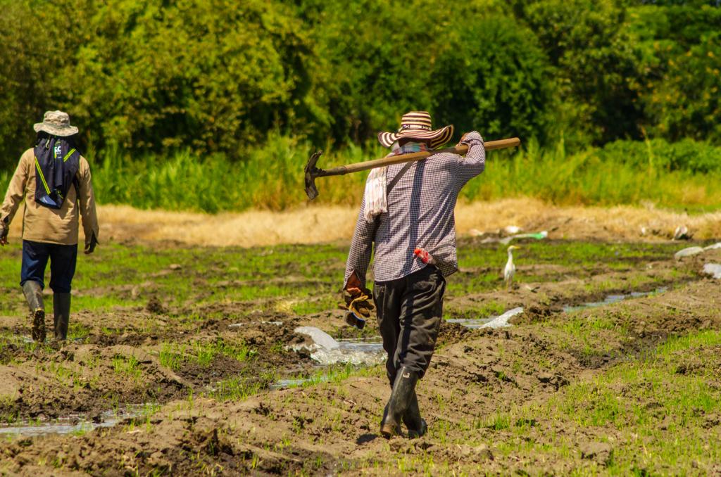 Variación del clima: otro factor que obliga a los jóvenes campesinos a migrar a la ciudad Variación del clima: otro factor que obliga a los jóvenes campesinos a migrar a la ciudad
