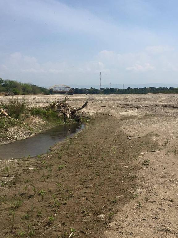 Tragedia ambiental: caudal de los ríos en el Tolima cae en un 50% Tragedia ambiental: caudal de los ríos en el Tolima cae en un 50%