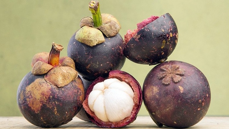 Cáscara de mangostino tendría molécula para controlar obesidad y diabetes Cáscara de mangostino tendría molécula para controlar obesidad y diabetes