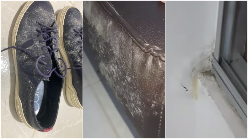 En Torreón de Varsovia denuncian que el agua se filtra por las ventanas y la humedad daña la ropa y zapatos En Torreón de Varsovia denuncian que el agua se filtra por las ventanas y la humedad daña la ropa y zapatos