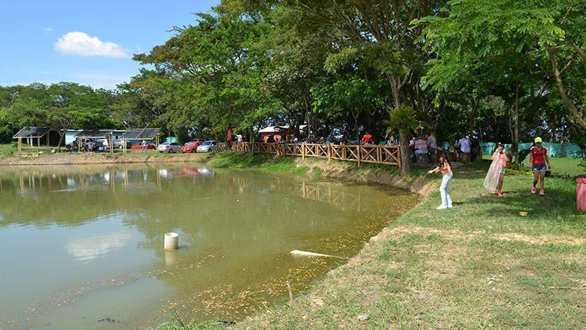 Pesca, descanso y caminatas ecológicas en un solo lugar Pesca, descanso y caminatas ecológicas en un solo lugar