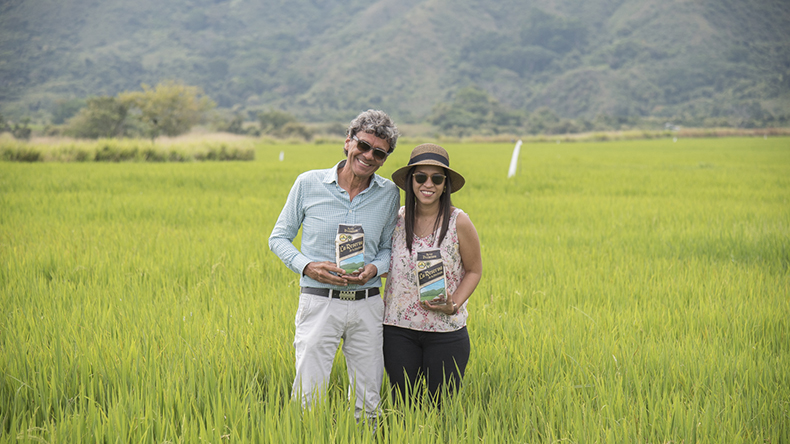 En la Meseta de Ibagué se produce el arroz La Reserva de la Hacienda, el primero con Denominación de Origen en Colombia En la Meseta de Ibagué se produce el arroz La Reserva de la Hacienda, el primero con Denominación de Origen en Colombia