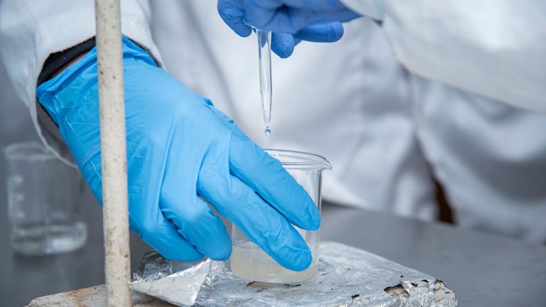 Alzheimer: ¿en la naturaleza podría estar la clave de su tratamiento?