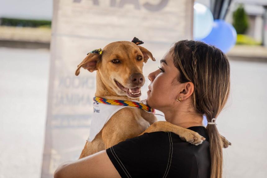 Así puede acceder a la esterilización gratuita de su mascota en el CAPA de Ibagué Así puede acceder a la esterilización gratuita de su mascota en el CAPA de Ibagué