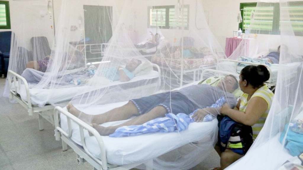 Aumentan los casos de dengue en el Tolima: Ibagué concentra casi la mitad de los contagios Aumentan los casos de dengue en el Tolima: Ibagué concentra casi la mitad de los contagios