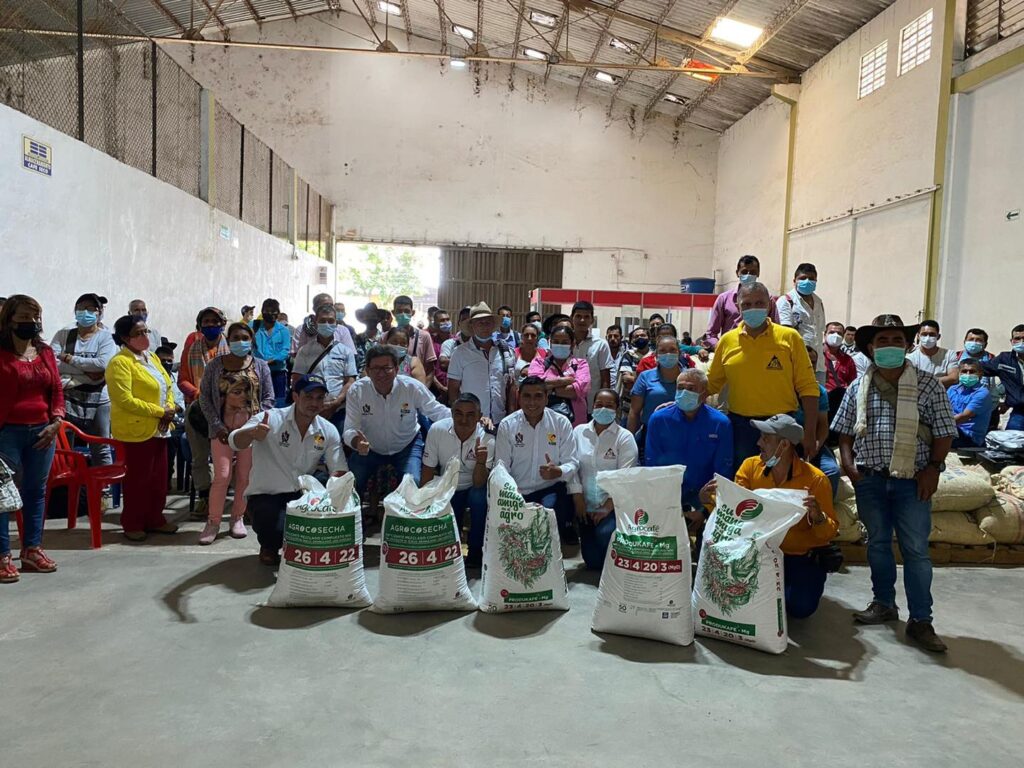 Siembran y renuevan cafetales en el Tolima Siembran y renuevan cafetales en el Tolima