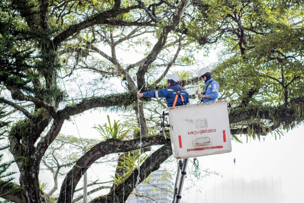 Ibagué encenderá el alumbrado navideño el viernes 2 de diciembre Ibagué encenderá el alumbrado navideño el viernes 2 de diciembre