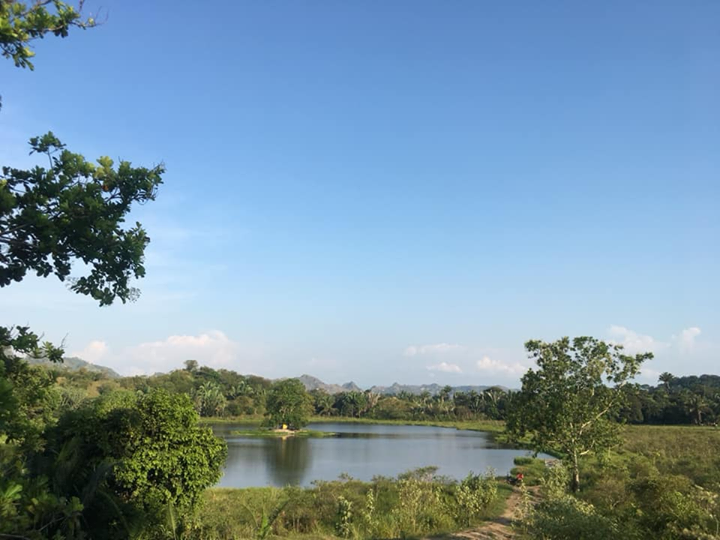Mariquiteños buscan proteger la Laguna del Silencio Mariquiteños buscan proteger la Laguna del Silencio