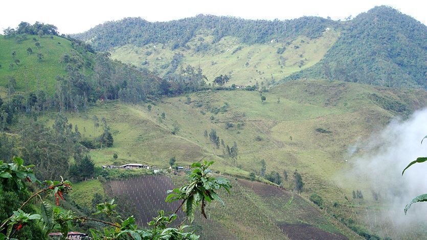 Gobierno Nacional debe respetar autonomía territorial frente a asuntos mineros, dice la Corte Constitucional Gobierno Nacional debe respetar autonomía territorial frente a asuntos mineros, dice la Corte Constitucional