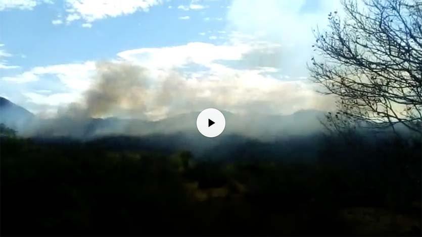 Organismos de socorro intentan atender incendio forestal en Natagaima Organismos de socorro intentan atender incendio forestal en Natagaima