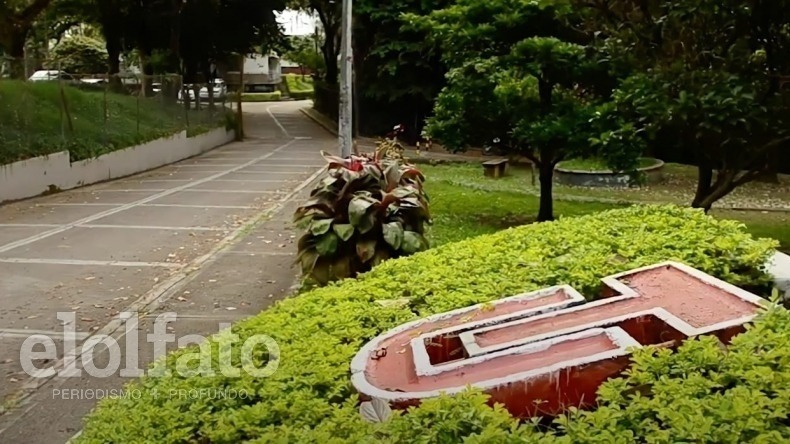 Universidad del Tolima ofrece más de 25 talleres gratuitos Universidad del Tolima ofrece más de 25 talleres gratuitos