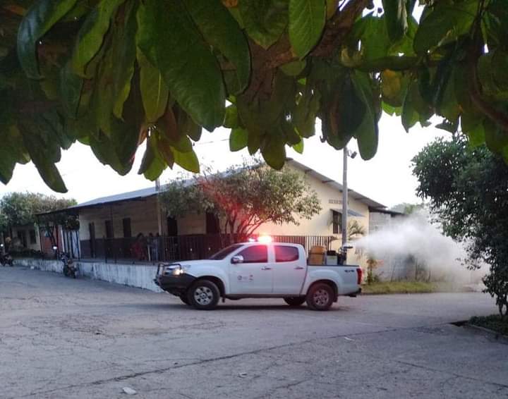 Casos de dengue en el Tolima aumentaron en un 400% Casos de dengue en el Tolima aumentaron en un 400%