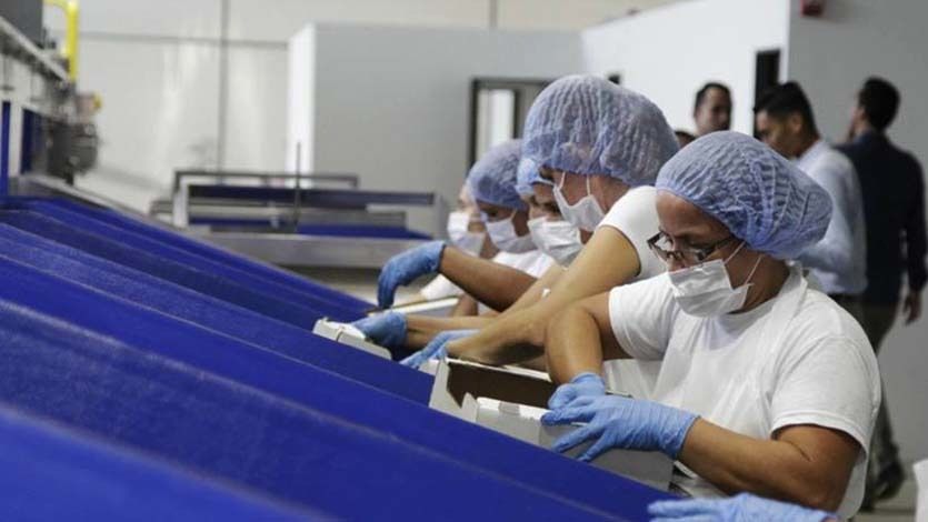 Con planta de aguacate del Tolima se espera que las exportaciones lleguen a 37.800 toneladas en 2018 Con planta de aguacate del Tolima se espera que las exportaciones lleguen a 37.800 toneladas en 2018