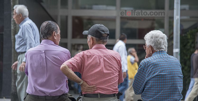 Un descubrimiento genético podría ayudar en la lucha contra el Alzheimer Un descubrimiento genético podría ayudar en la lucha contra el Alzheimer