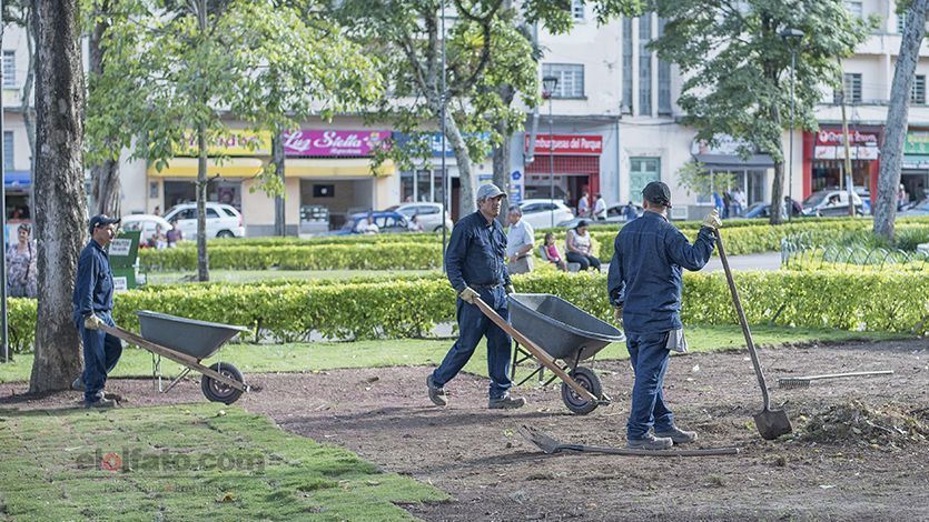 $58 millones cuesta recuperar la Plaza de Bolívar $58 millones cuesta recuperar la Plaza de Bolívar