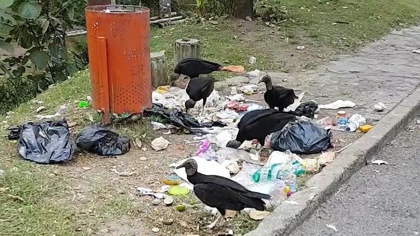 Vecinos del parque Centenario denuncian que los restaurantes están llenando de basura el sector Vecinos del parque Centenario denuncian que los restaurantes están llenando de basura el sector