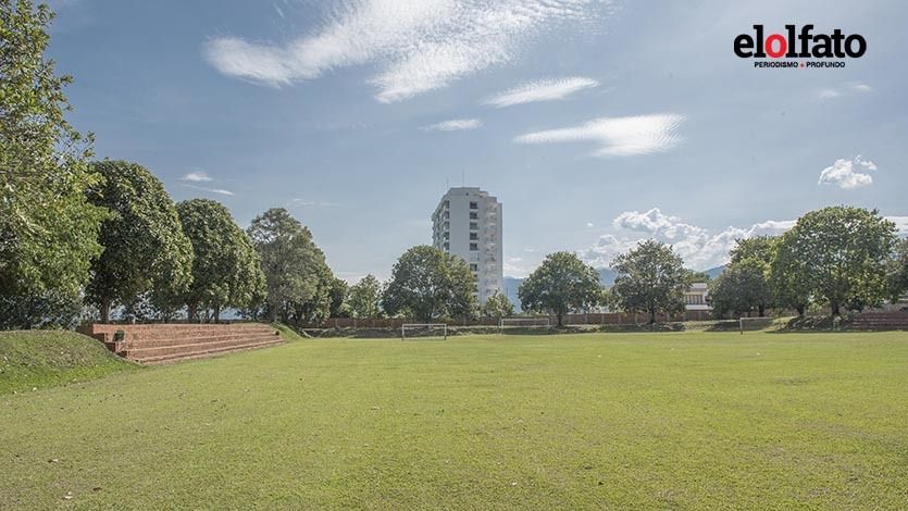 En el Tolima cada hora policías incautan un kilo de marihuana En el Tolima cada hora policías incautan un kilo de marihuana