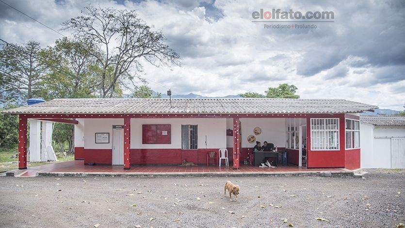Conozca cómo funciona el Centro de Atención y Protección Animal de Ibagué Conozca cómo funciona el Centro de Atención y Protección Animal de Ibagué