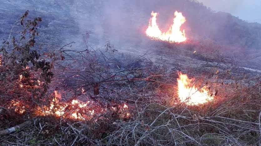 En lo corrido del mes de agosto se han atendido 69 incendios forestales en Ibagué En lo corrido del mes de agosto se han atendido 69 incendios forestales en Ibagué