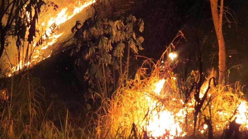 Más de 300 hectáreas de capa vegetal se han quemado en los últimos días por incendios forestales Más de 300 hectáreas de capa vegetal se han quemado en los últimos días por incendios forestales