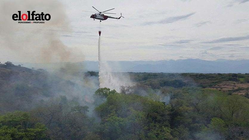 Fuertes temperaturas han provocado 17 incendios forestales en el Tolima Fuertes temperaturas han provocado 17 incendios forestales en el Tolima