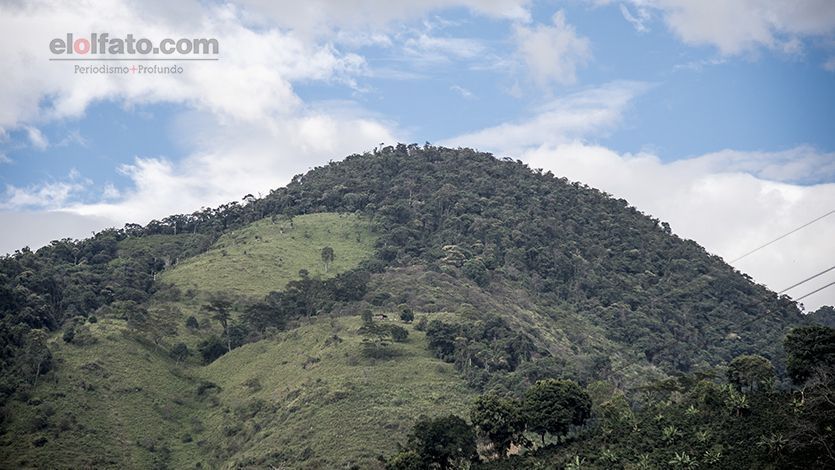 Ejército realizará desminado humanitario en Planadas, Chaparral y Rioblanco Ejército realizará desminado humanitario en Planadas, Chaparral y Rioblanco