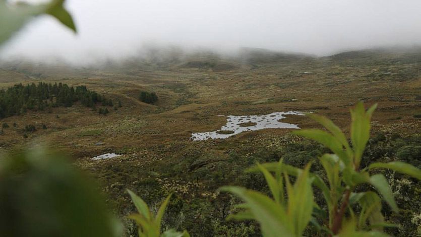 Cortolima declaró como Parque Natural Regional la zona de ‘Anaime-Chilí’ Cortolima declaró como Parque Natural Regional la zona de ‘Anaime-Chilí’