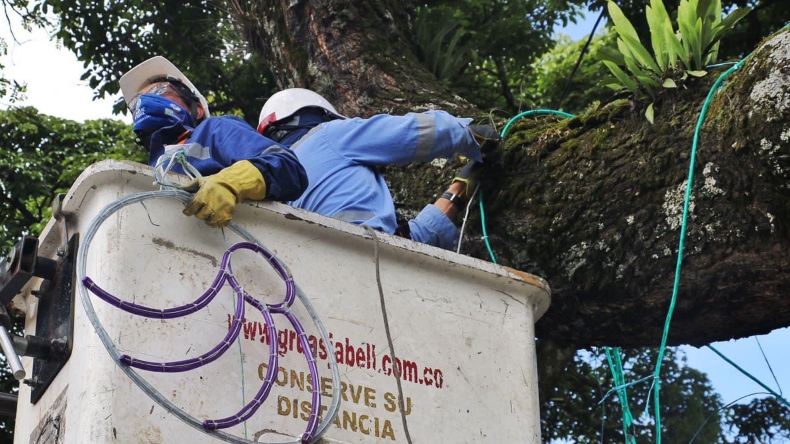 2.500 figuras iluminarán a Ibagué en esta Navidad 2.500 figuras iluminarán a Ibagué en esta Navidad