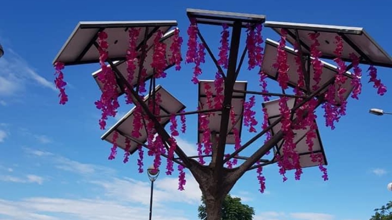 Instalan en Ibagué el primer árbol solar de energía renovable del departamento Instalan en Ibagué el primer árbol solar de energía renovable del departamento