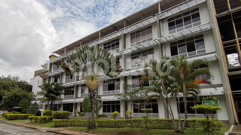 Gastronomía y ciencias culinarias: el nuevo programa profesional que ofrecerá la Universidad del Tolima