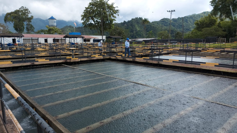 Algunos sectores de Ibagué podrían presentar intermitencia en el servicio de agua Algunos sectores de Ibagué podrían presentar intermitencia en el servicio de agua