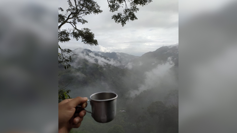 La historia del café tolimense que sabe a miel, panela y chocolate, y nace en las tierras del Nevado del Ruiz