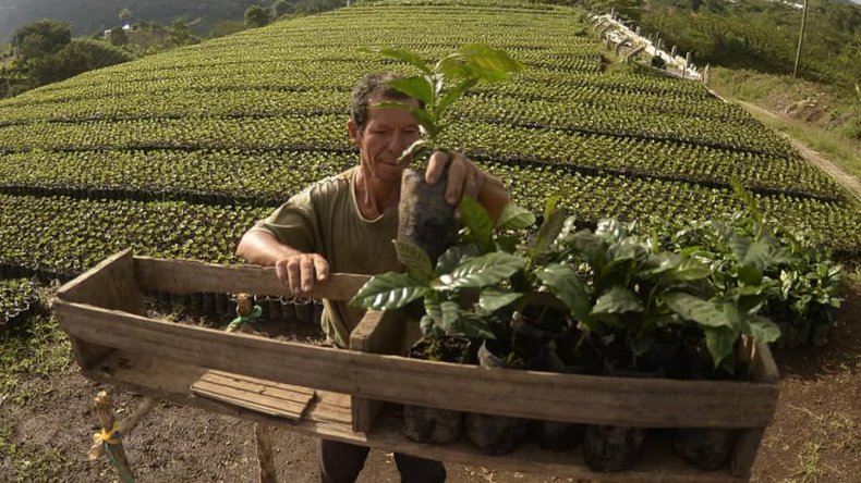 Estas serán las inversiones que hará la Gobernación del Tolima en 2022 Estas serán las inversiones que hará la Gobernación del Tolima en 2022