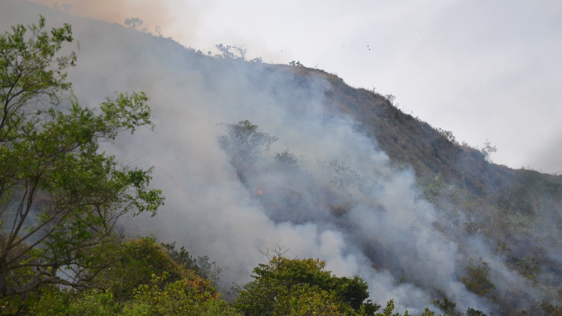 16 incendios forestales se han desatado en el mes de julio en Ibagué