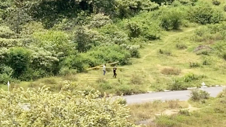 Denuncian tala de árboles para continuar construyendo viviendas en invasión de la comuna Ocho Denuncian tala de árboles para continuar construyendo viviendas en invasión de la comuna Ocho