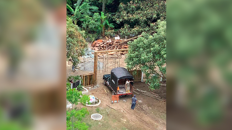 Denuncian a un hombre por tala indiscriminada de guaduas que estaría usando para su restaurante en Ibagué