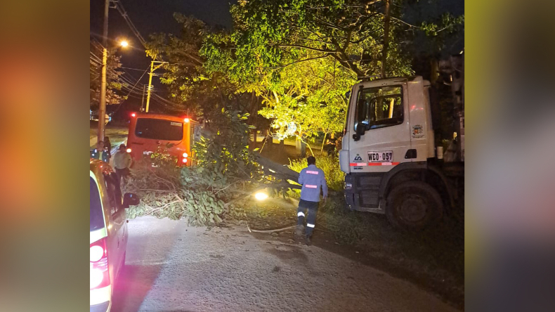 Camión recolector de basura se quedó sin frenos, saltó un separador y derribó un árbol y un poste de luz en Ibagué Camión recolector de basura se quedó sin frenos, saltó un separador y derribó un árbol y un poste de luz en Ibagué