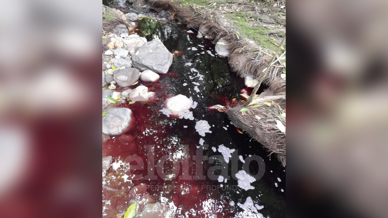 Un río que se tiñe de rojo: ciudadanos denuncian posibles prácticas contaminantes por parte de una empresa en Ibagué