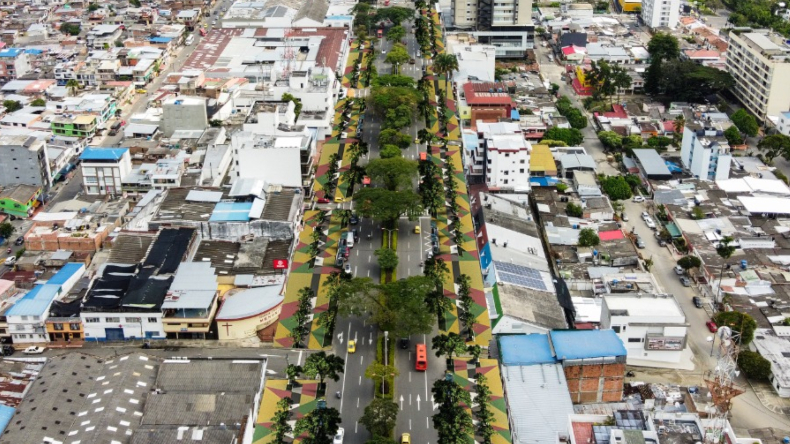 Alcaldía aseguró que sembrará más de 2.100 árboles por la carrera Quinta como medida de protección ambiental