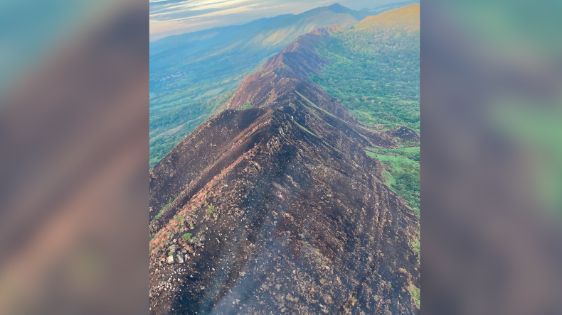 Organismos de socorro controlaron incendio que consumió cerca de 200 hectáreas entre Melgar y Cunday Organismos de socorro controlaron incendio que consumió cerca de 200 hectáreas entre Melgar y Cunday