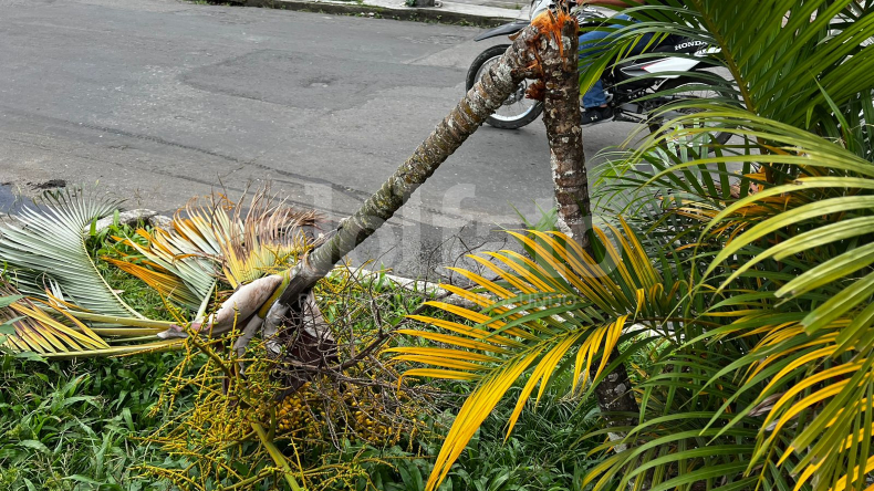 Armado con machete, habitante de calle genera zozobra en el barrio Belén