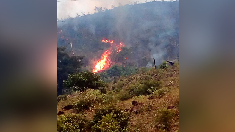 Incendio forestal ha consumido 150 hectáreas de vegetación en Prado Incendio forestal ha consumido 150 hectáreas de vegetación en Prado