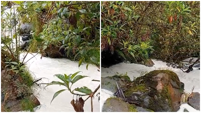 Investigan quebrada en el Cañón del Combeima tras presentar extraño color blanco