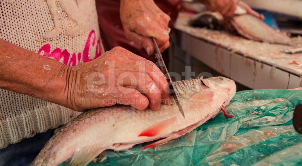 ¿Comprará pescado en Semana Santa? Tenga en cuenta estas recomendaciones ¿Comprará pescado en Semana Santa? Tenga en cuenta estas recomendaciones