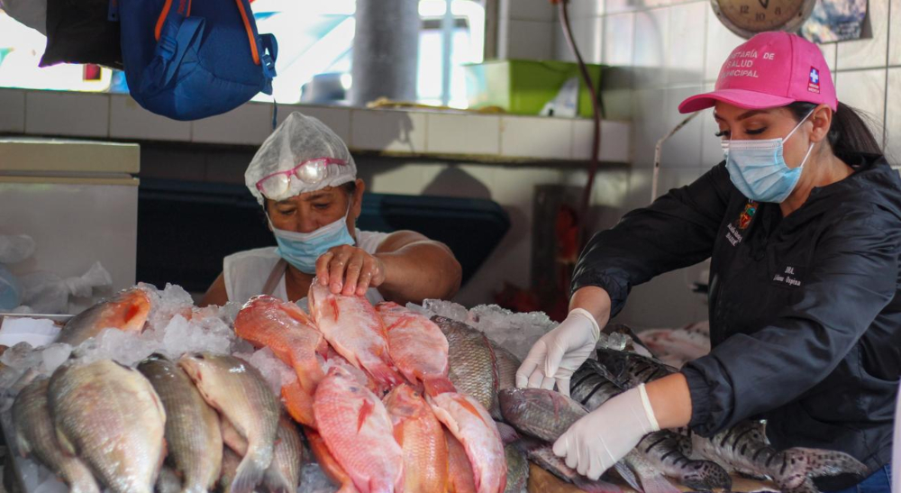 Autoridades verificaron condiciones del pescado en la Plaza de la 28