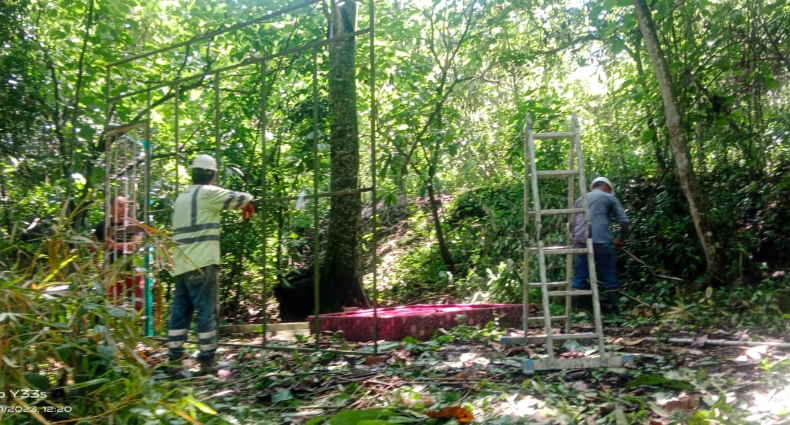Advierten daño ambiental en Ibagué por personas que persisten en invadir un predio Advierten daño ambiental en Ibagué por personas que persisten en invadir un predio