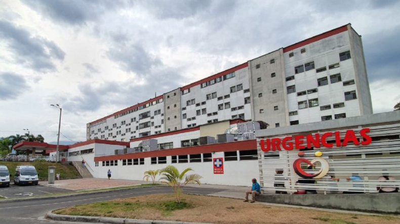 Falleció en Ibagué una mujer que sufrió un ataque de abejas